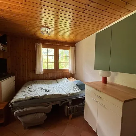 Appartement Avec Jardin Au Coeur De La Nature Zinal